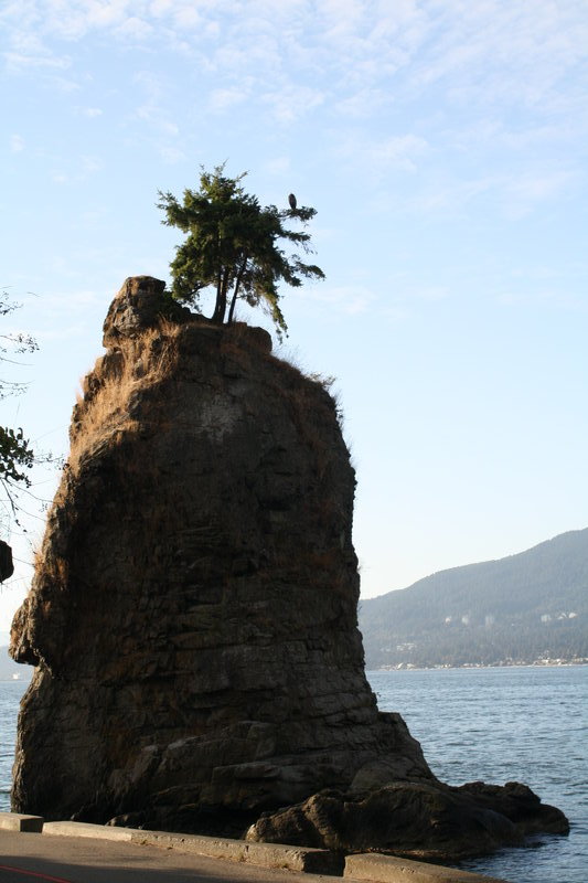 Just a rock with a tree...