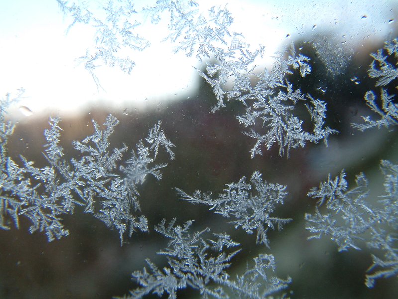 Snowflakes on our window! brrr