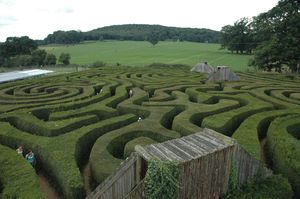 Awesome Longleat Maze