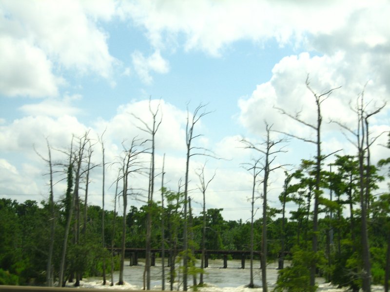 See the effects of the Mississippi flooding (5)