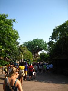 Masses of people entering Park