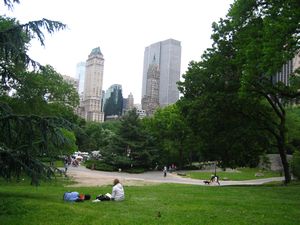 Central Park (4)