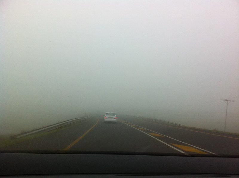 Driving in the mist