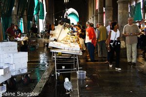 Venice Fish market in action