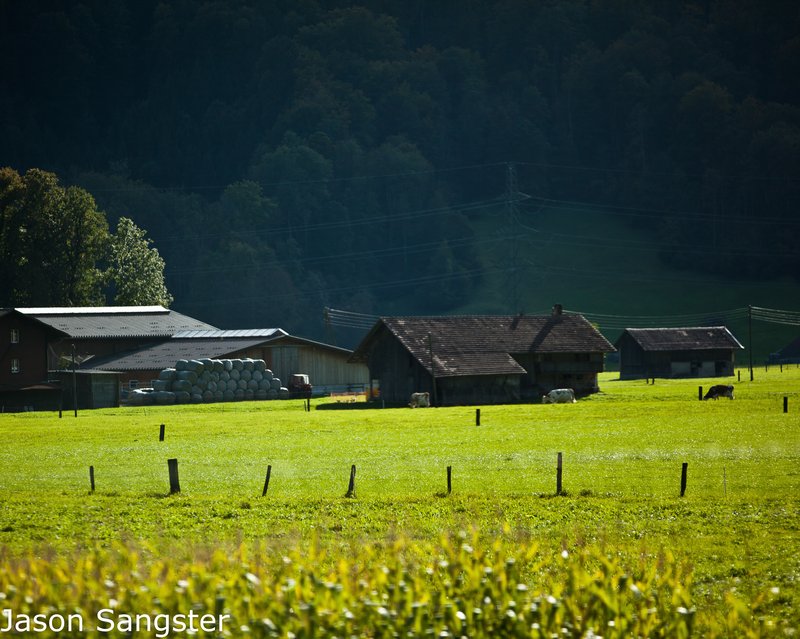 Swiss Countryside