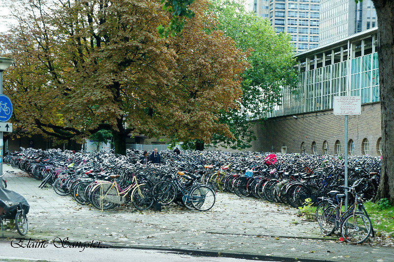 9million and 1 bicycles in Amsterdam