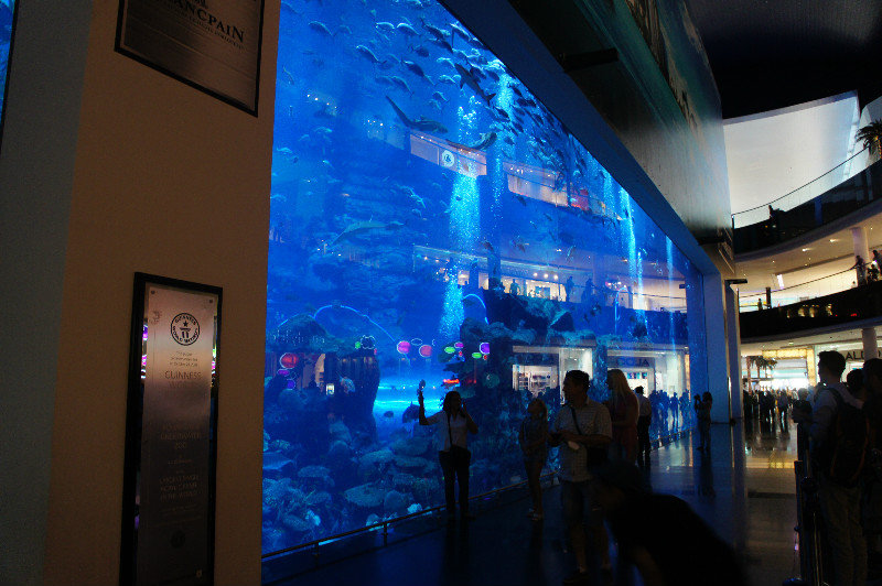 Dubai Mall- Dubai aquarium