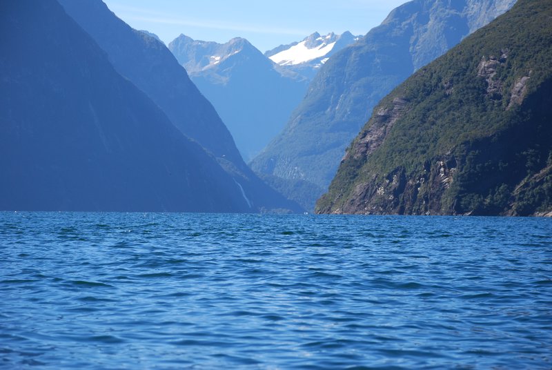 Sea Kayaking - Milford Sound