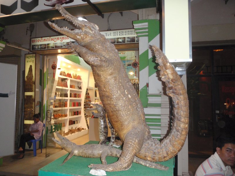 Stuffed Crocodile outside store