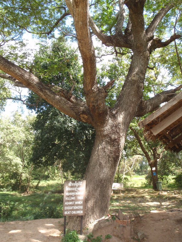 The tree used to kill children