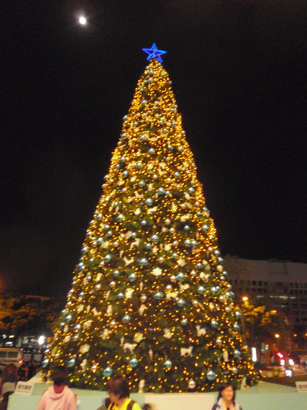 Another Christmas tree near our hotel