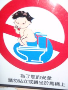 This sign says not to stand on the toilet seat and squat