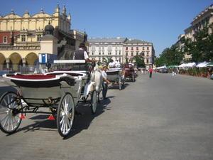 Horse carriages in Krakow's central square