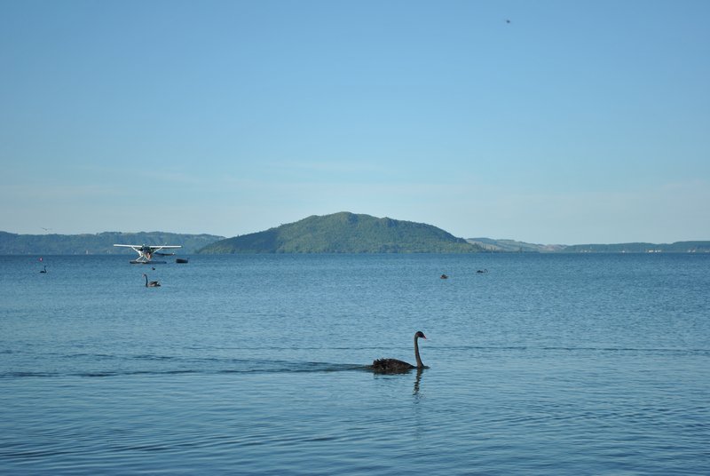 Mokoia Island, vue depuis les rives de Rotorua