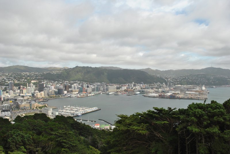 Port et centre de Wellington, vu depuis Mt Victoria