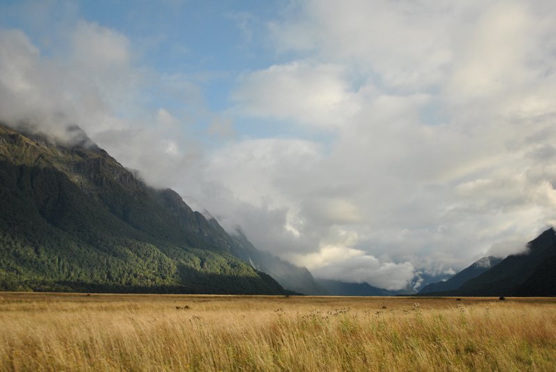 Te Anau-Milford Sound : on longe le Fiordland National Park, ici à gauche
