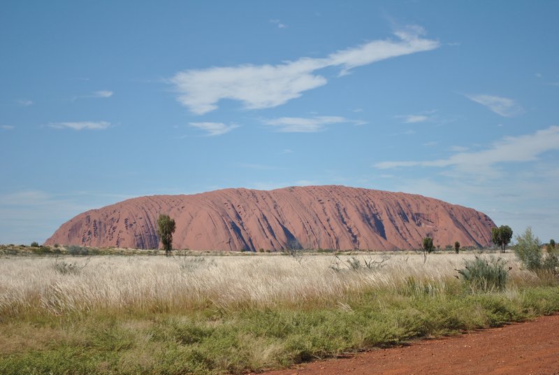 Uluru, environ midi