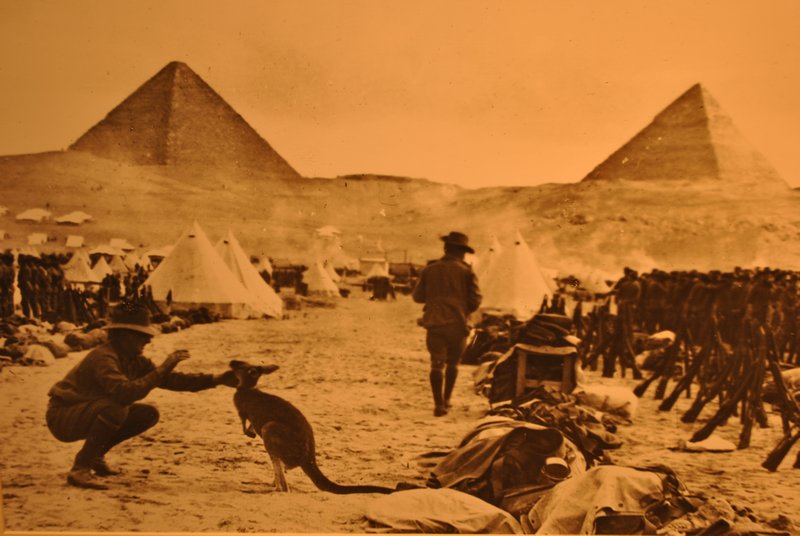 1915, les Australiens en Egypte, avec leur mascotte, préparent la guerre