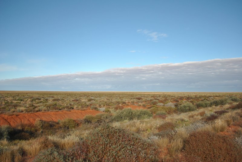 L'outback, un spectacle inlassable