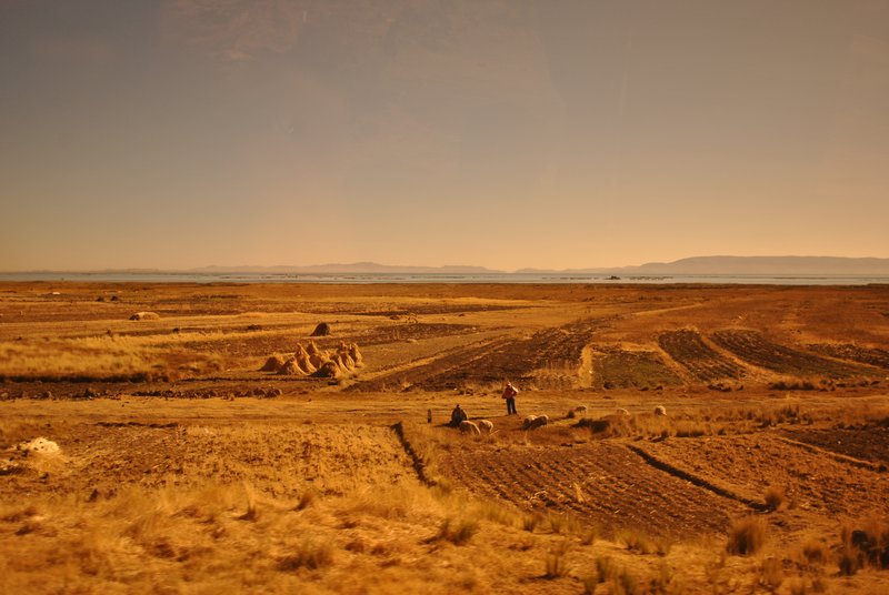 Bords du lac Titicaca, aride mais agricole