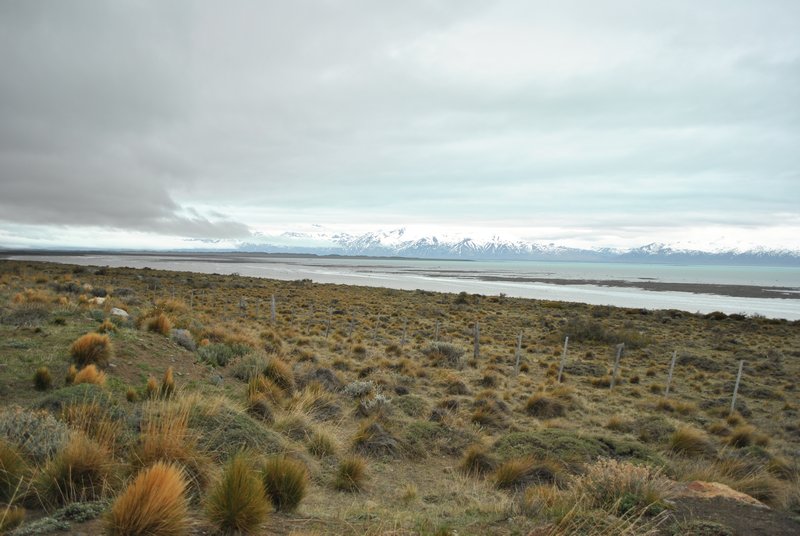 Paysage de steppes au bord du lac Argentino