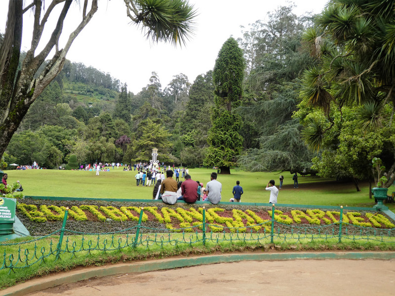 Botanical Gardens in Ooty (11)