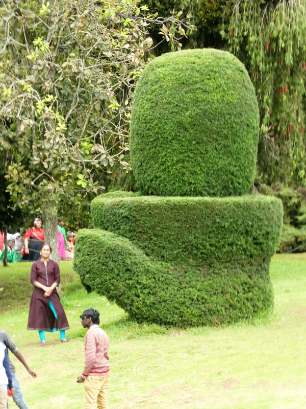 Botanical Gardens in Ooty (15)