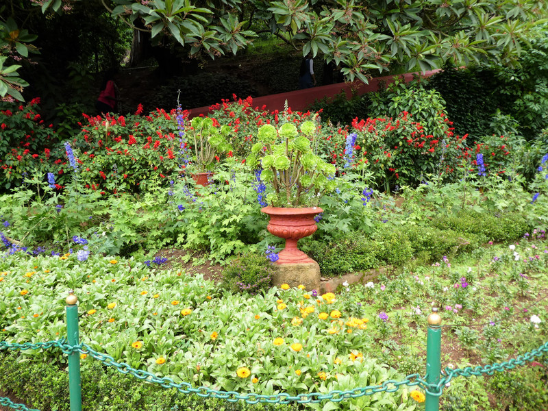 Botanical Gardens in Ooty (36)