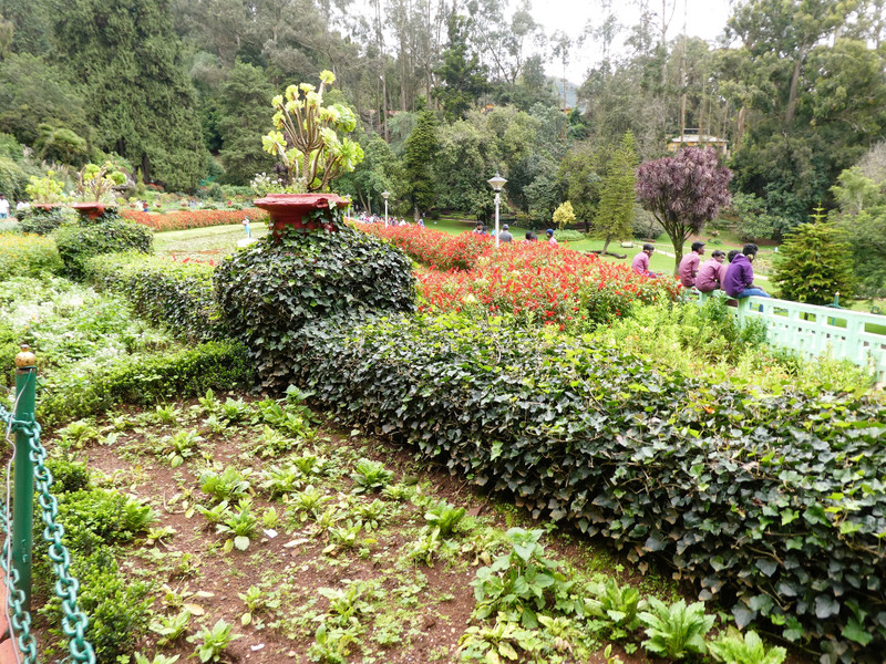 Botanical Gardens in Ooty (38)