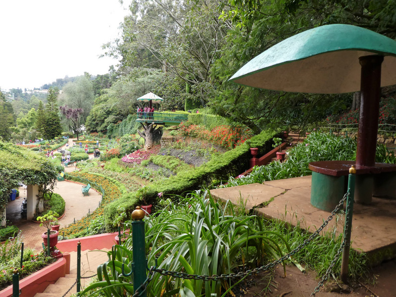 Botanical Gardens in Ooty (49)