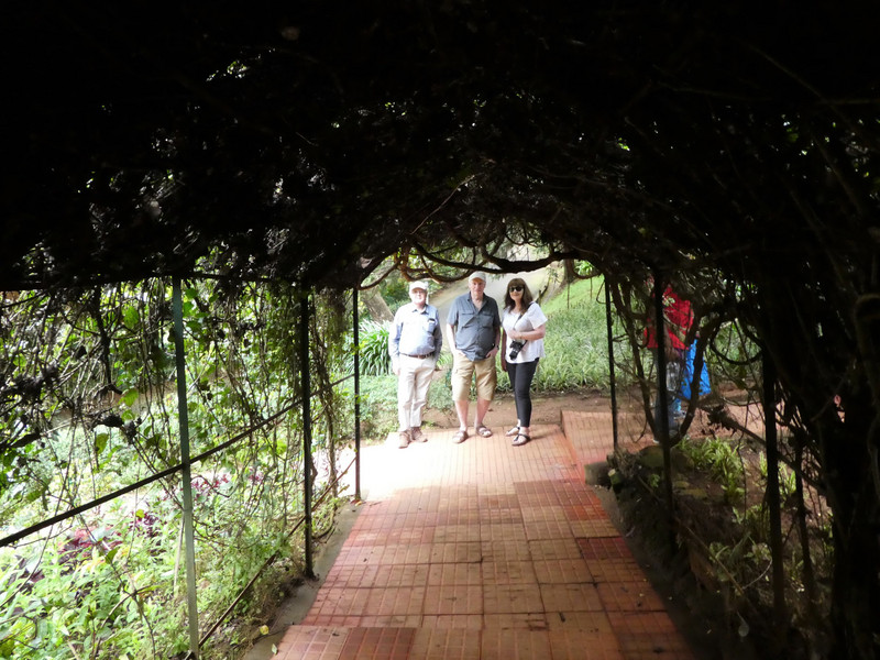 Botanical Gardens in Ooty (54)