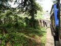 Rack-Railway on the Toy Train ride from Ooty to Coonoor (51)