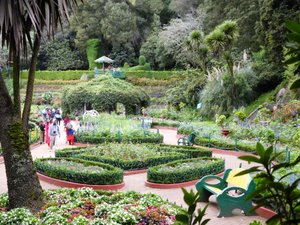 Botanical Gardens in Ooty (74)