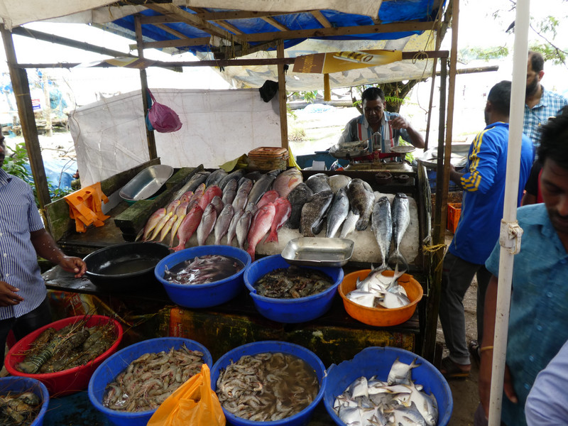 Kochi Old Town - Fish Market (5)