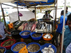 Kochi Old Town - Fish Market (5)