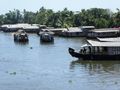 Alleppey Houseboat Tour along Kerala Backwaters (4)