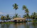Scenes along the small canals from our houseboat cruise - Kerala Backwaters (49)