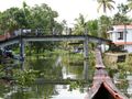 Scenes along the small canals from our houseboat cruise - Kerala Backwaters (86)