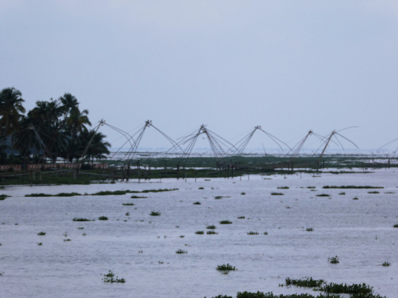 Backwaters near Kumarakom (3)