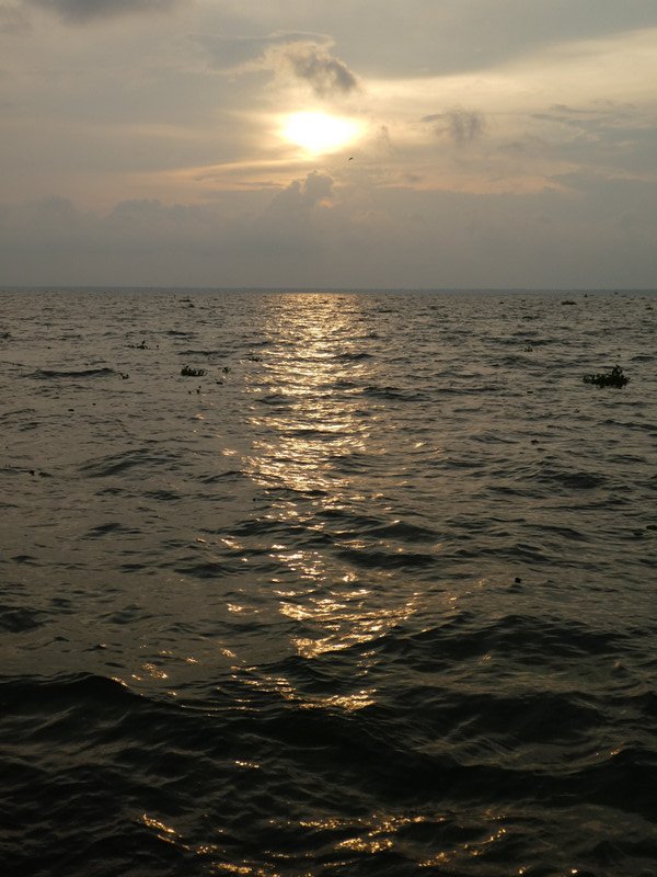 Sunset cruise at Kumarakom on the Kerala Backwater (16)