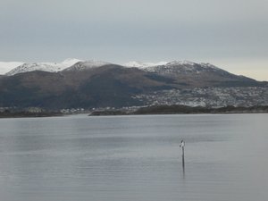 Sail away from Bergen on Finnmarken (32)