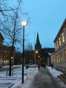 Trondheim (95)