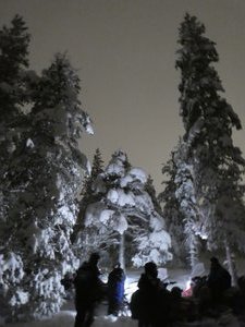 Snowmobile Safari Rovaniemi (44)