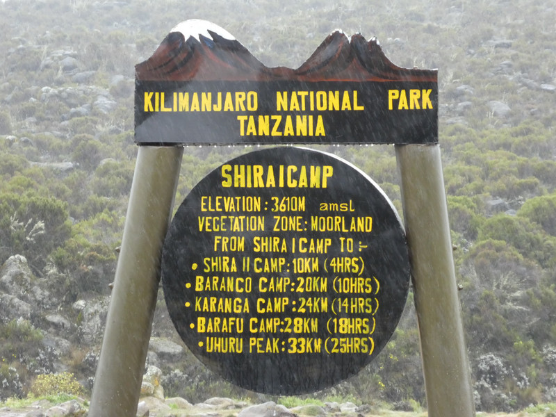 Shira 1 Camp 3599m (3)