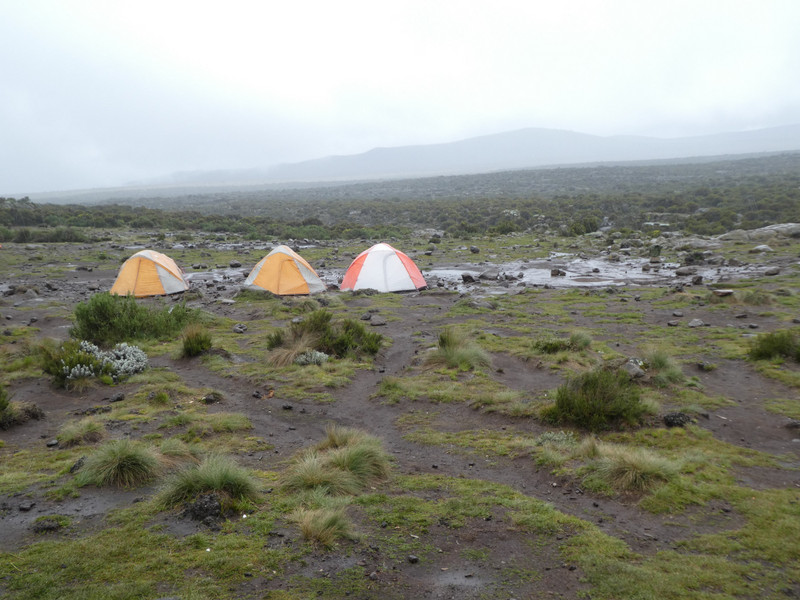 Shira 1 Camp 3599m (4)