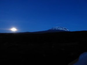 Mt Kilimanjaro (1)