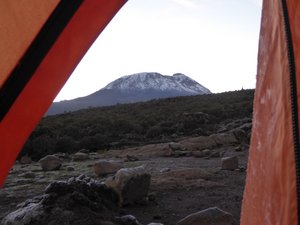 Mt Kilimanjaro (4)