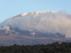 Mt Kilimanjaro (10)