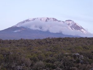 Mt Kilimanjaro (12)