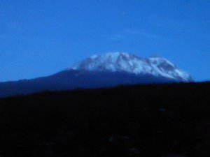 Mt Kilimanjaro (14)